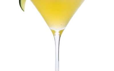 Project Managers, Start Your Next Project with a Cocktail Party!