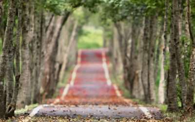 Agile Project Milestones for Creative Endeavors (Part 2)